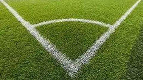 萨马兰奇强调疫情不会干扰北京冬奥会筹备