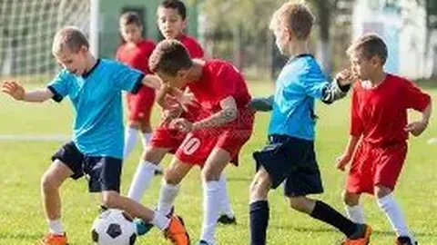 “南沙迎来国际顶尖格斗电竞盛事”